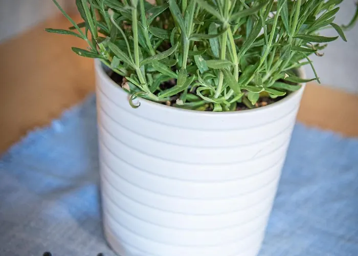 Gribelehof Hotel Lienz